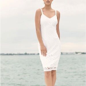 WHBM eyelet sheath dress- size 10 NWT